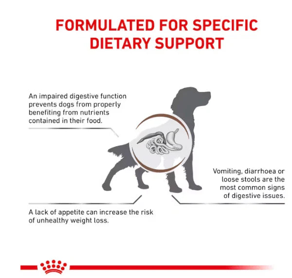 Royal Canin Gastro Adult Dog 2Kg