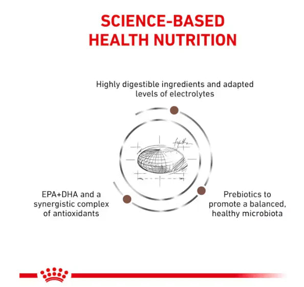 Royal Canin Gastro Adult Dog 2Kg